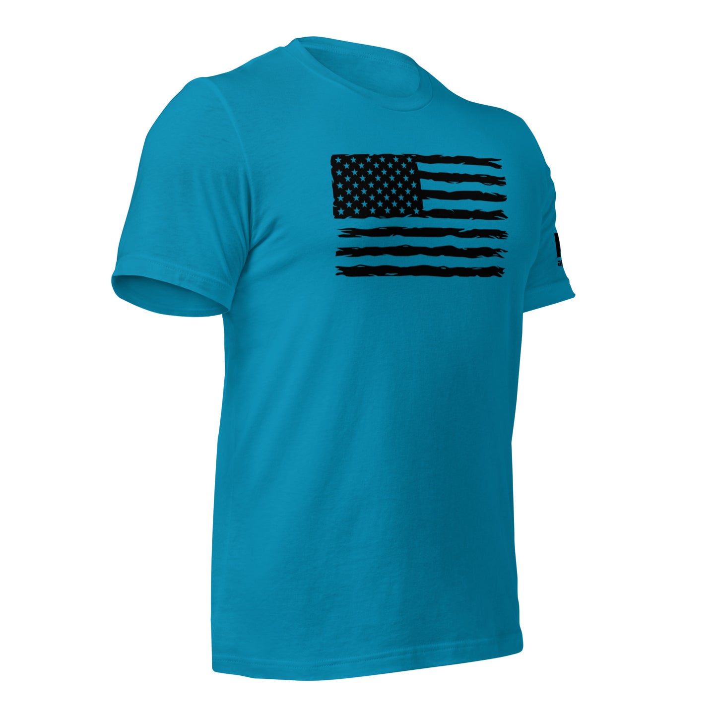 Black flag w/ K19 arm logo t-shirt