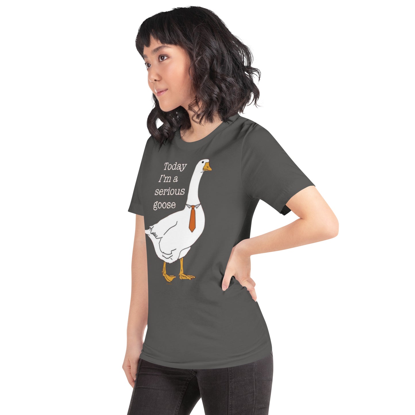 Serious Goose t-shirt