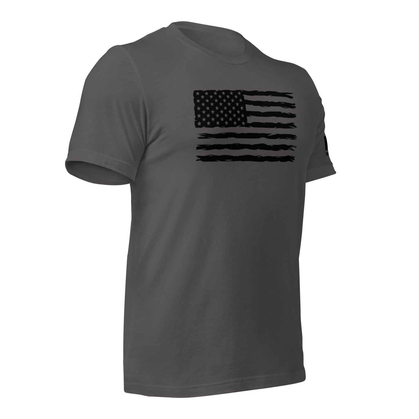 Black flag w/ K19 arm logo t-shirt