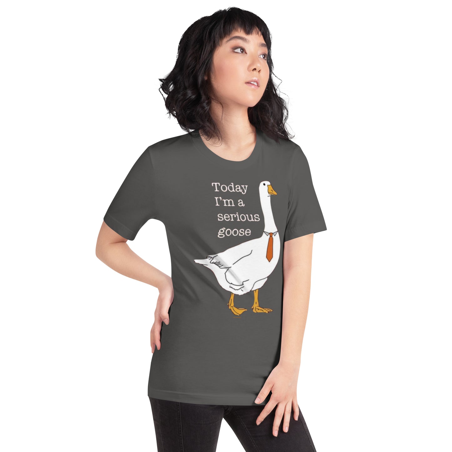 Serious Goose t-shirt