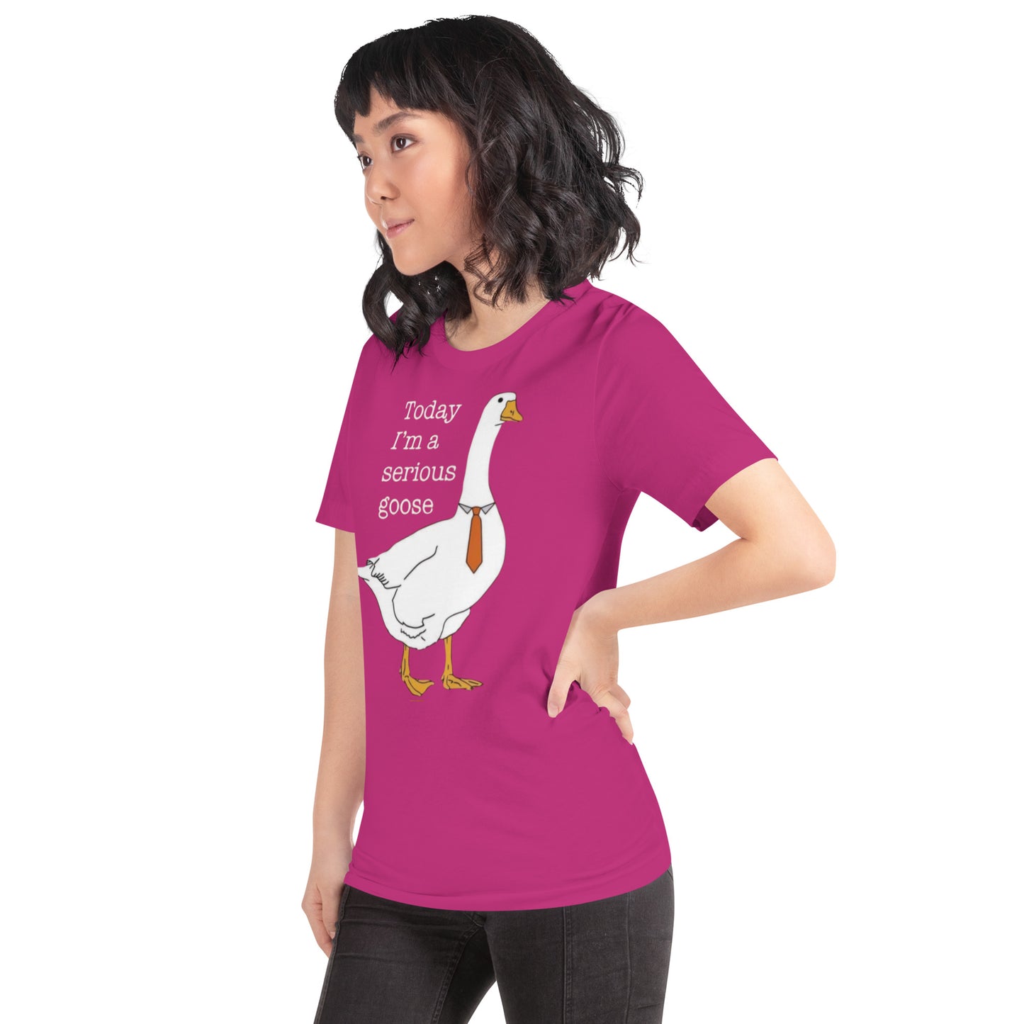 Serious Goose t-shirt