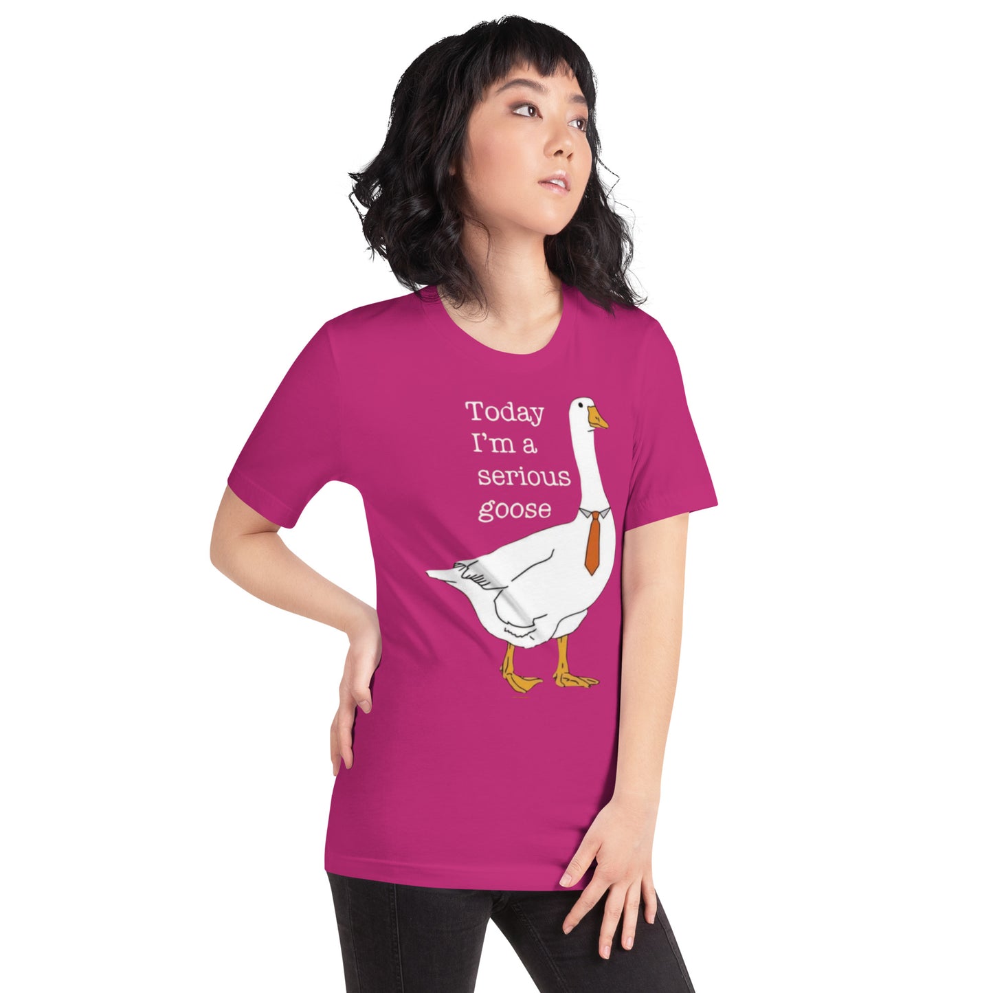 Serious Goose t-shirt
