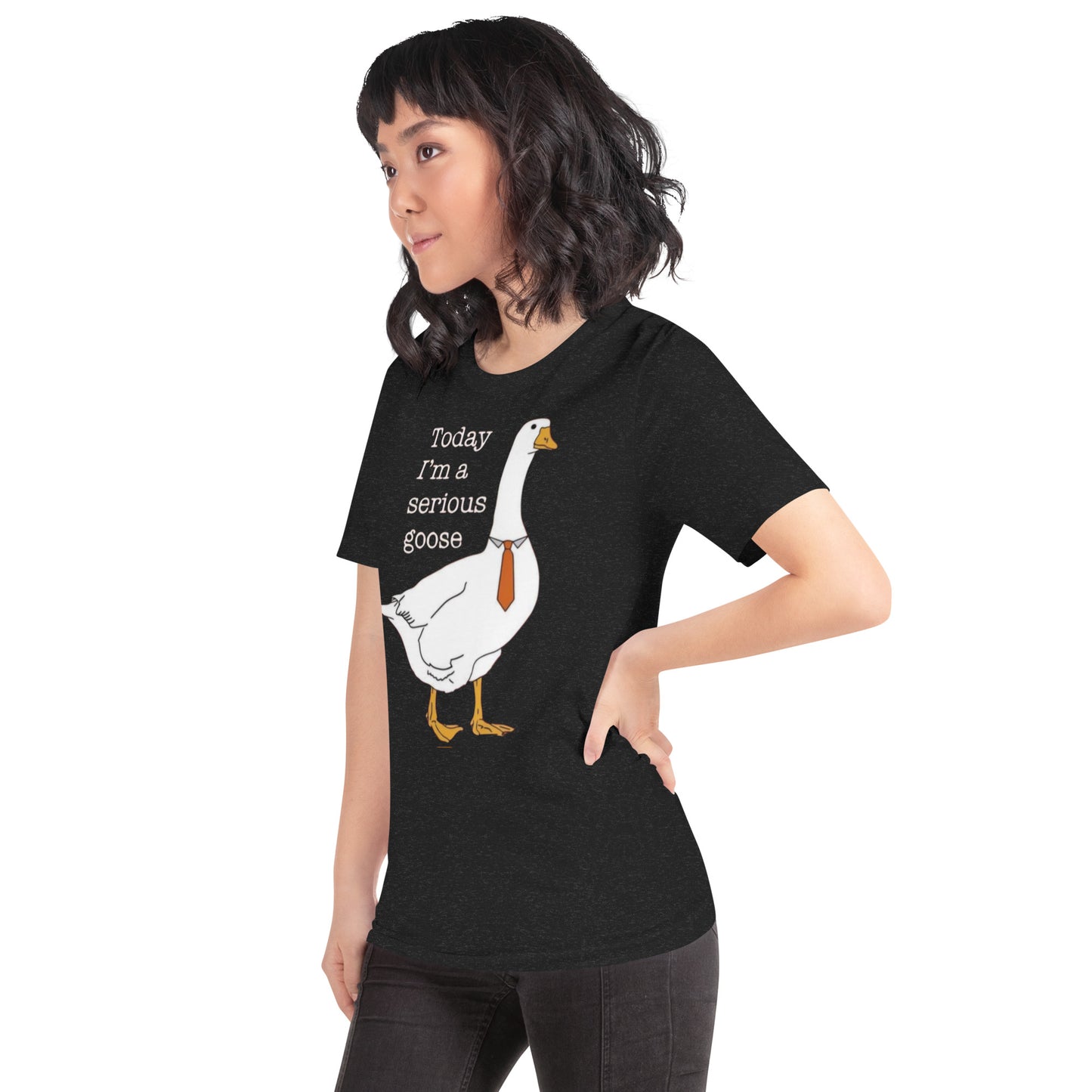 Serious Goose t-shirt