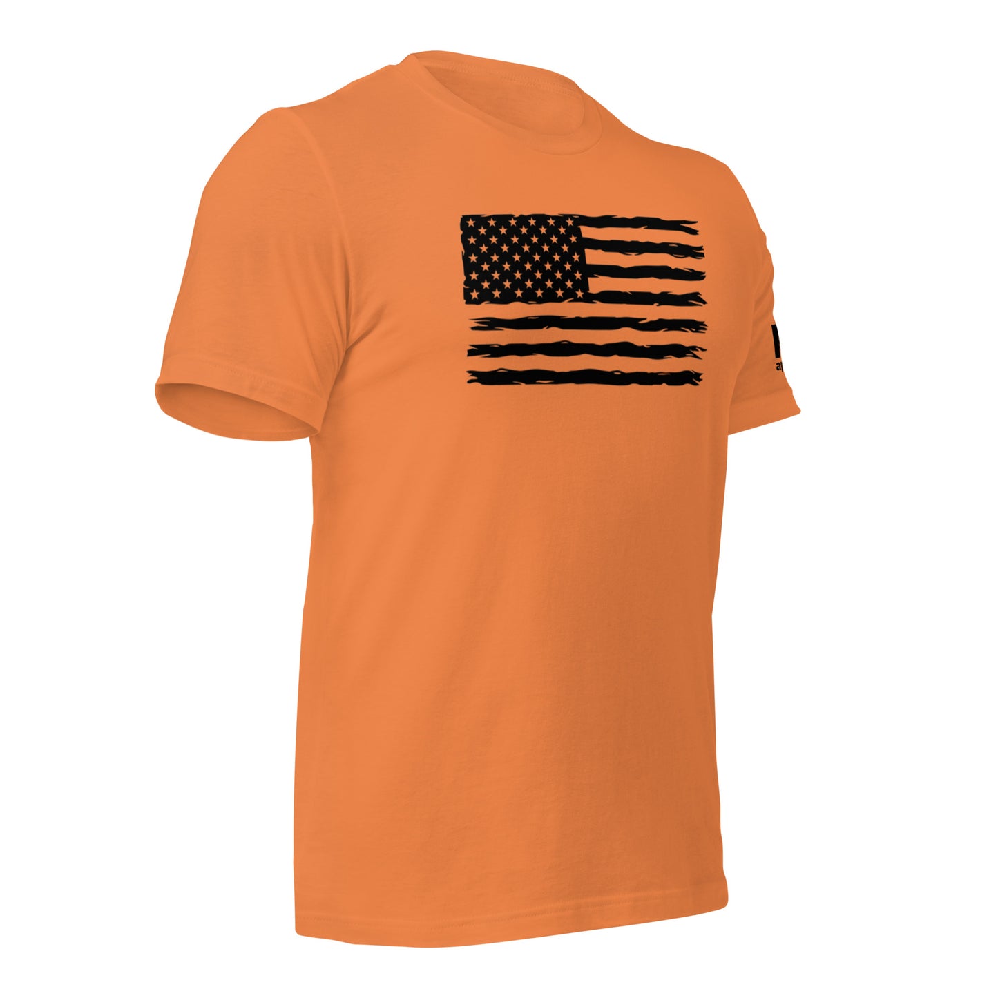 Black flag w/ K19 arm logo t-shirt