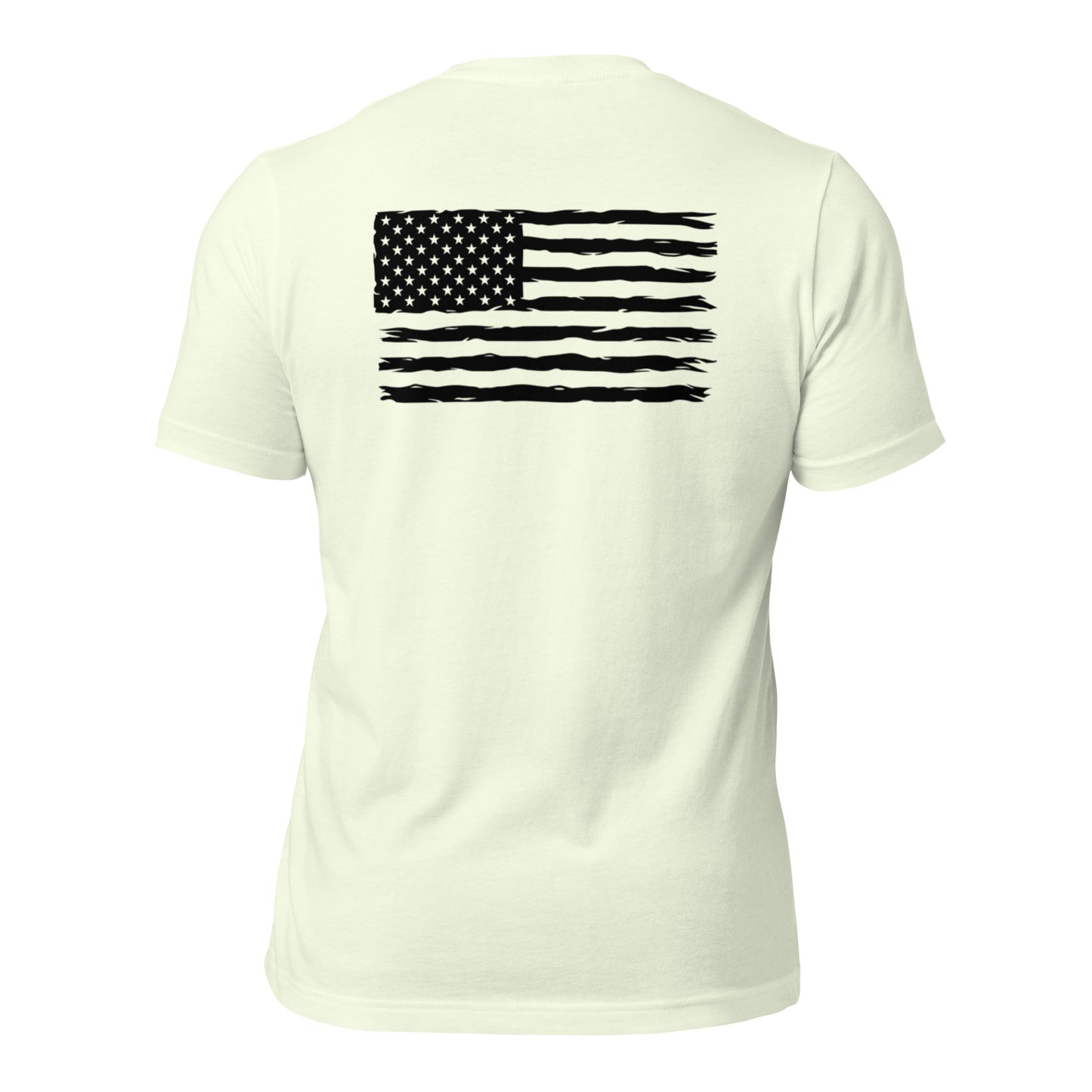 basic American flag t-shirt