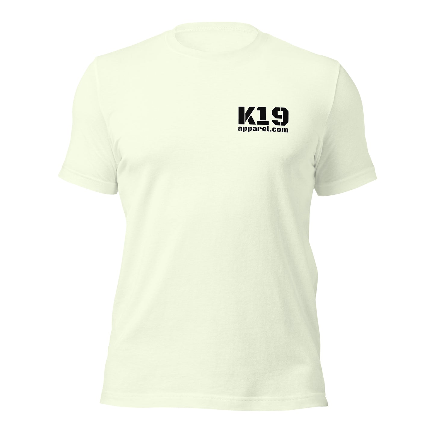 basic American flag t-shirt