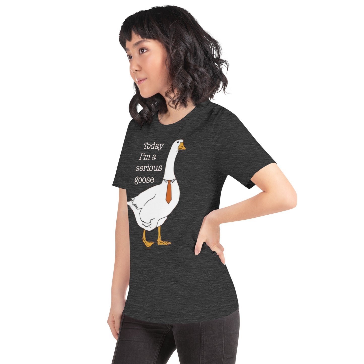 Serious Goose t-shirt