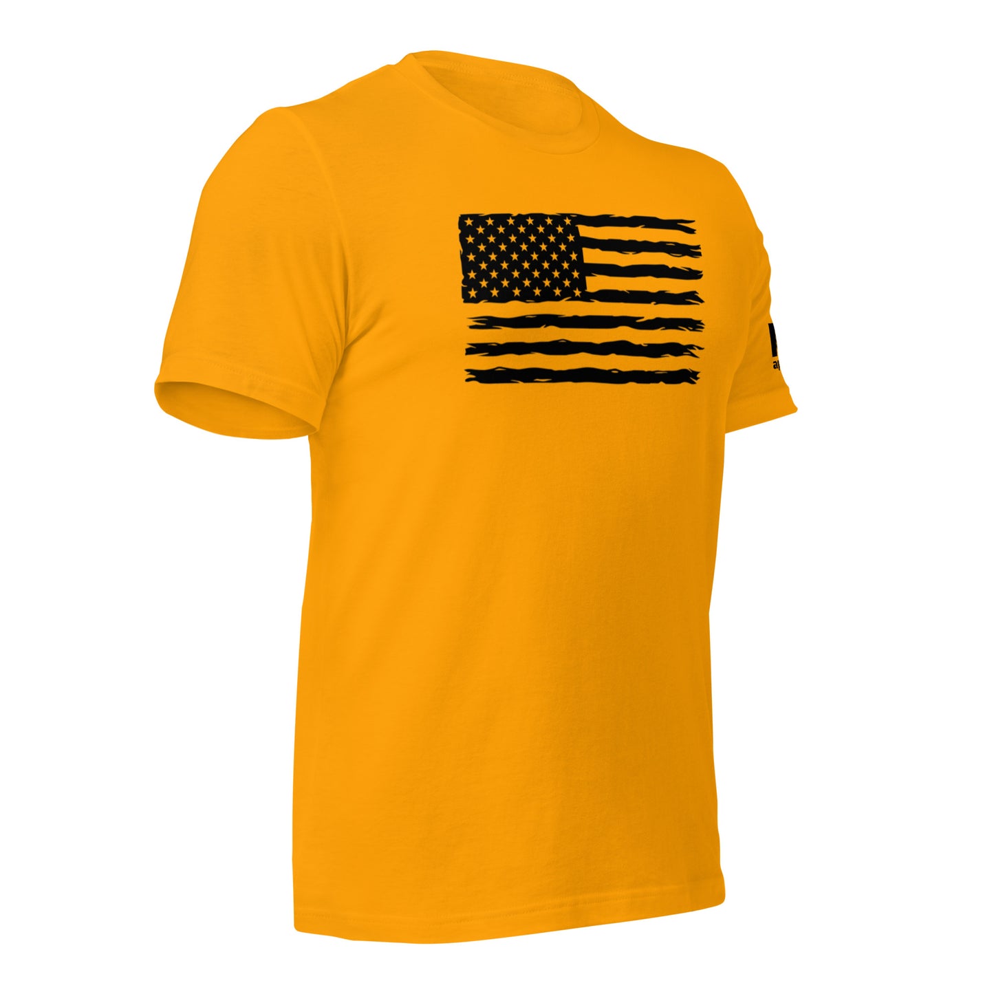Black flag w/ K19 arm logo t-shirt
