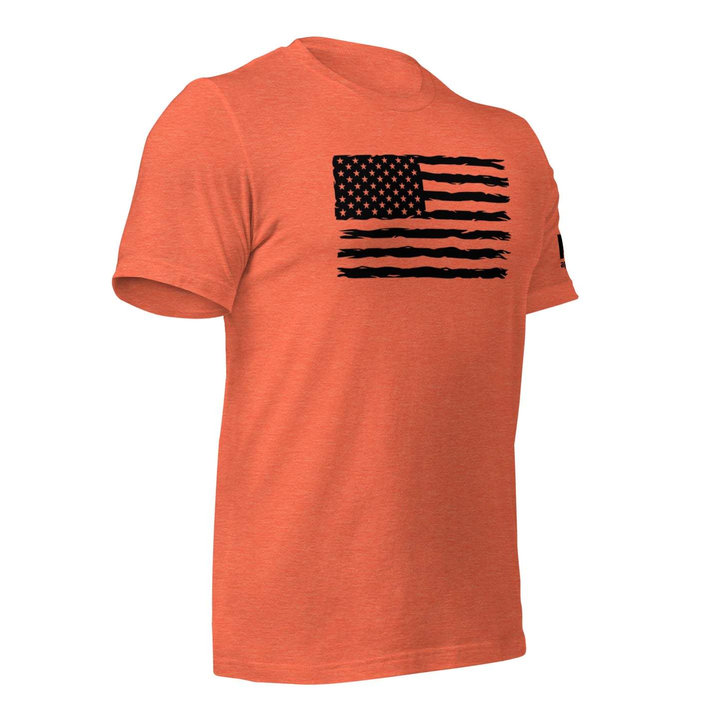 Black flag w/ K19 arm logo t-shirt