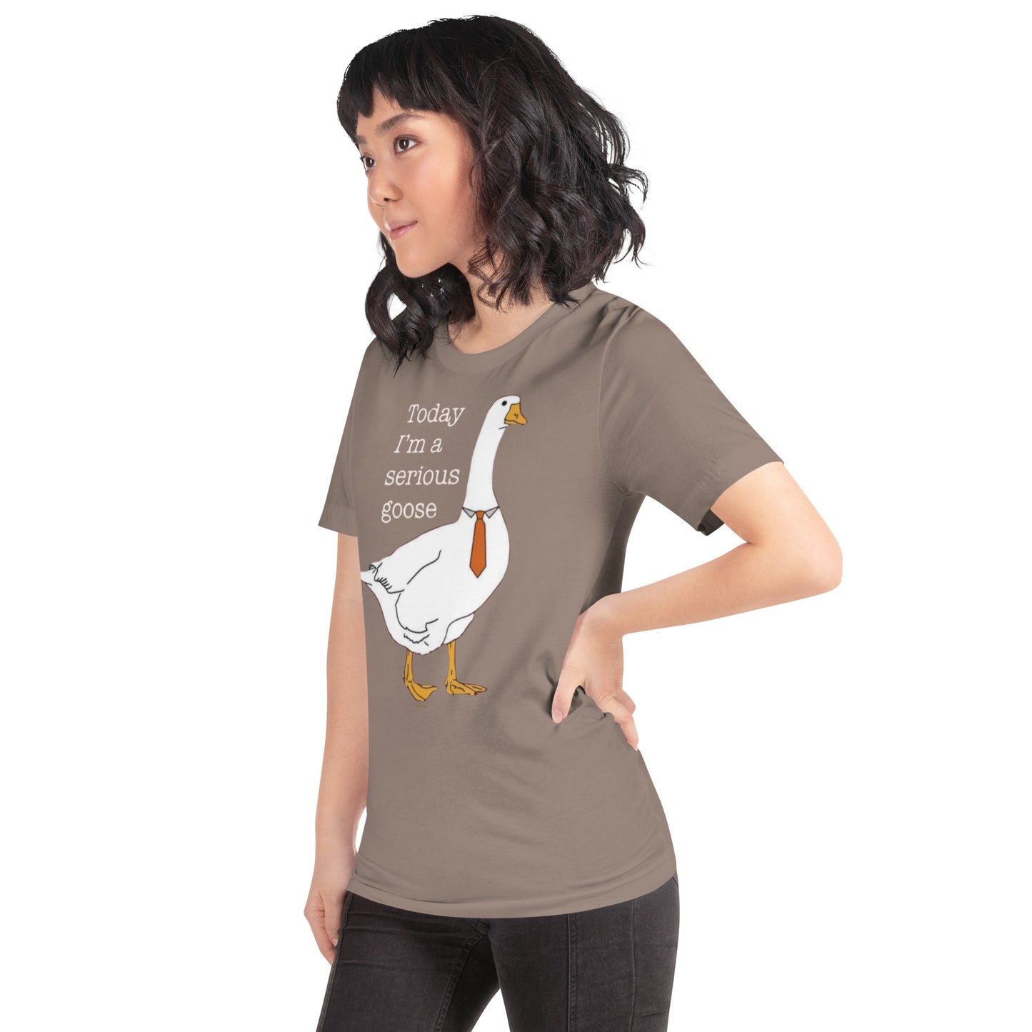 Serious Goose t-shirt