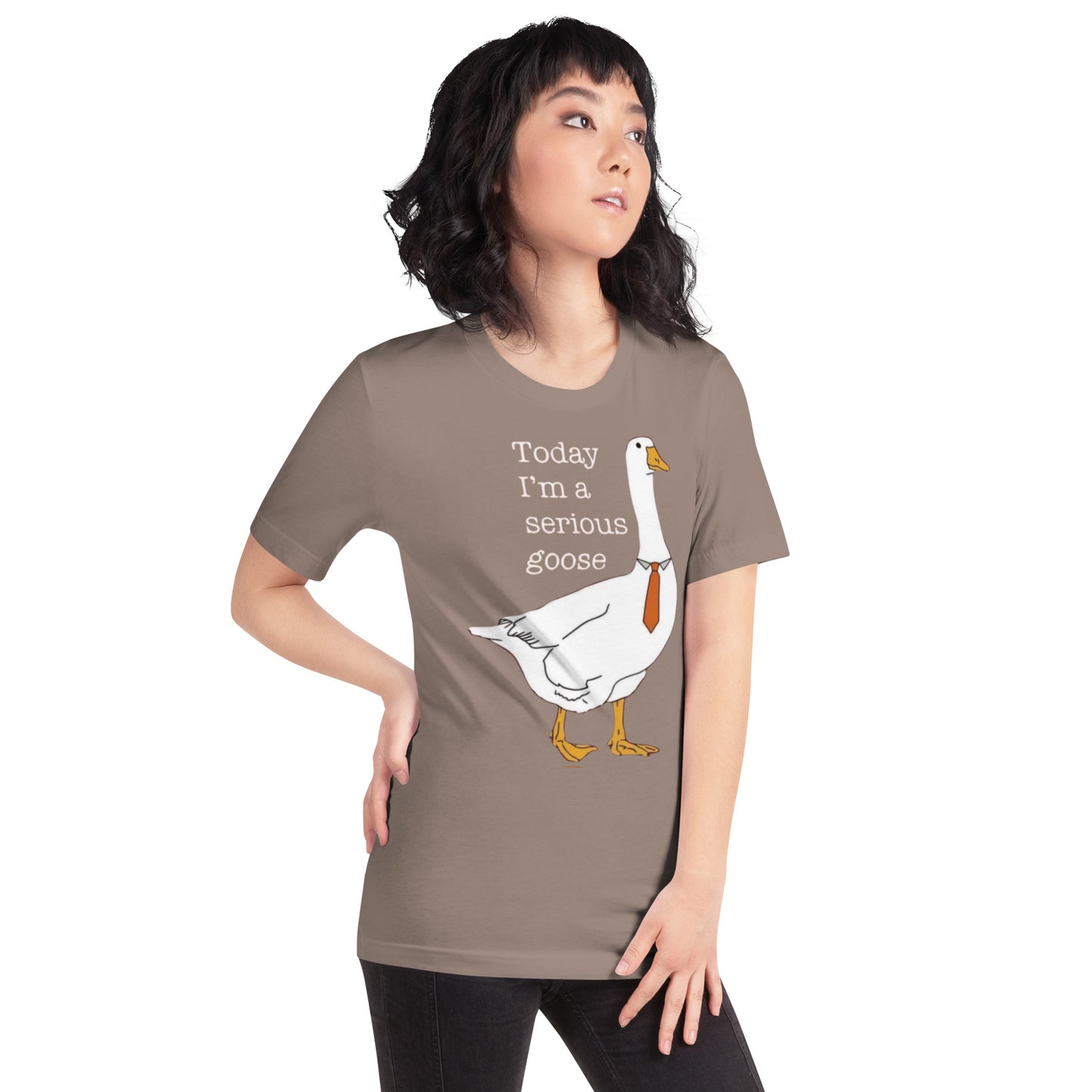 Serious Goose t-shirt